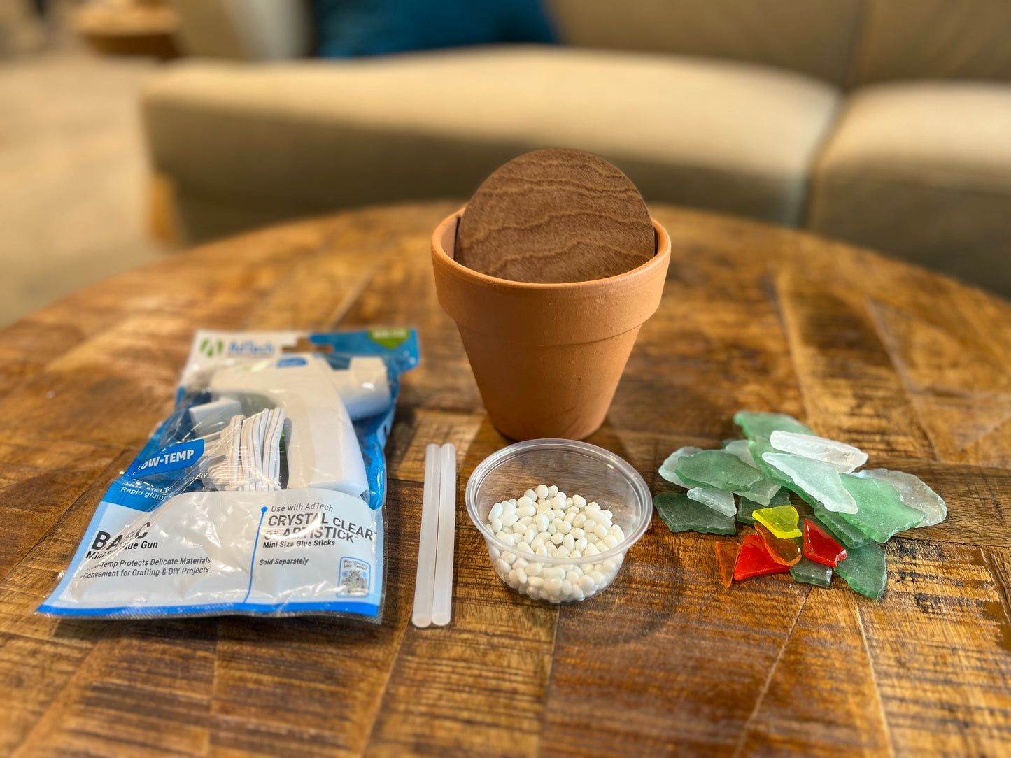 DIY Glass Succulent Kit