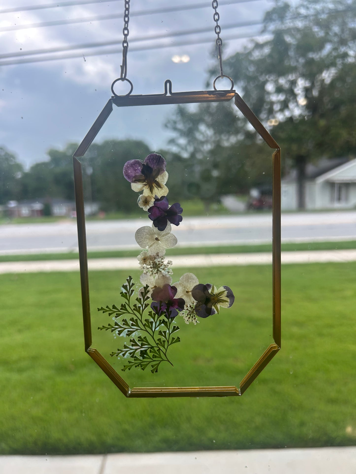 Framed Pressed Flowers