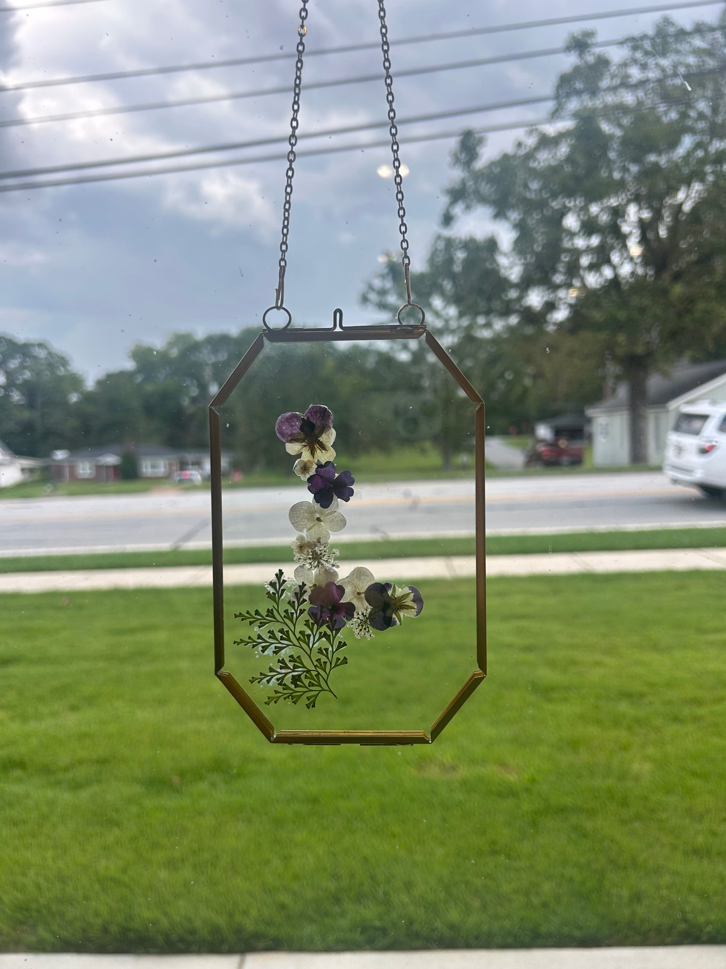 Framed Pressed Flowers