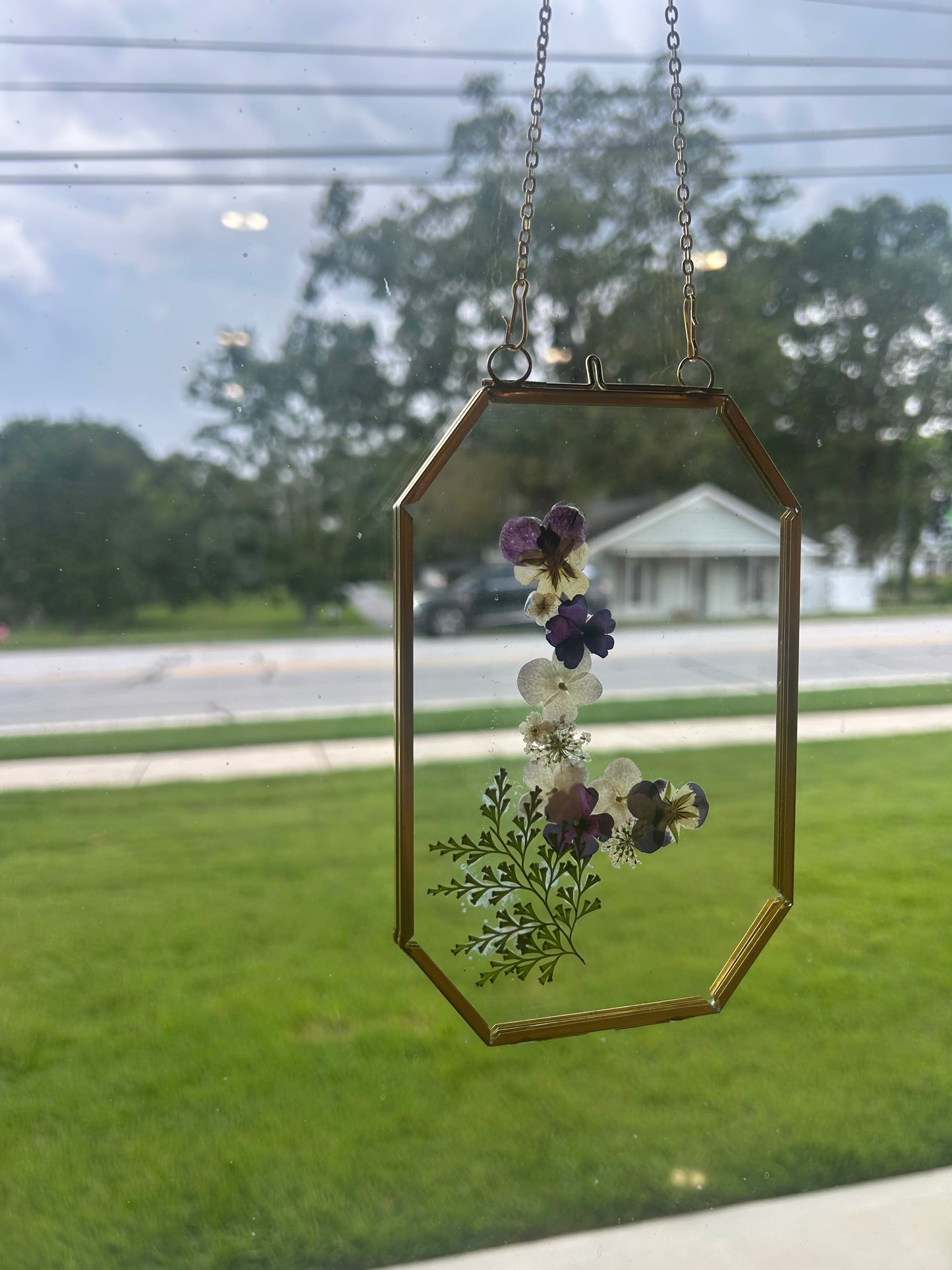 Framed Pressed Flowers