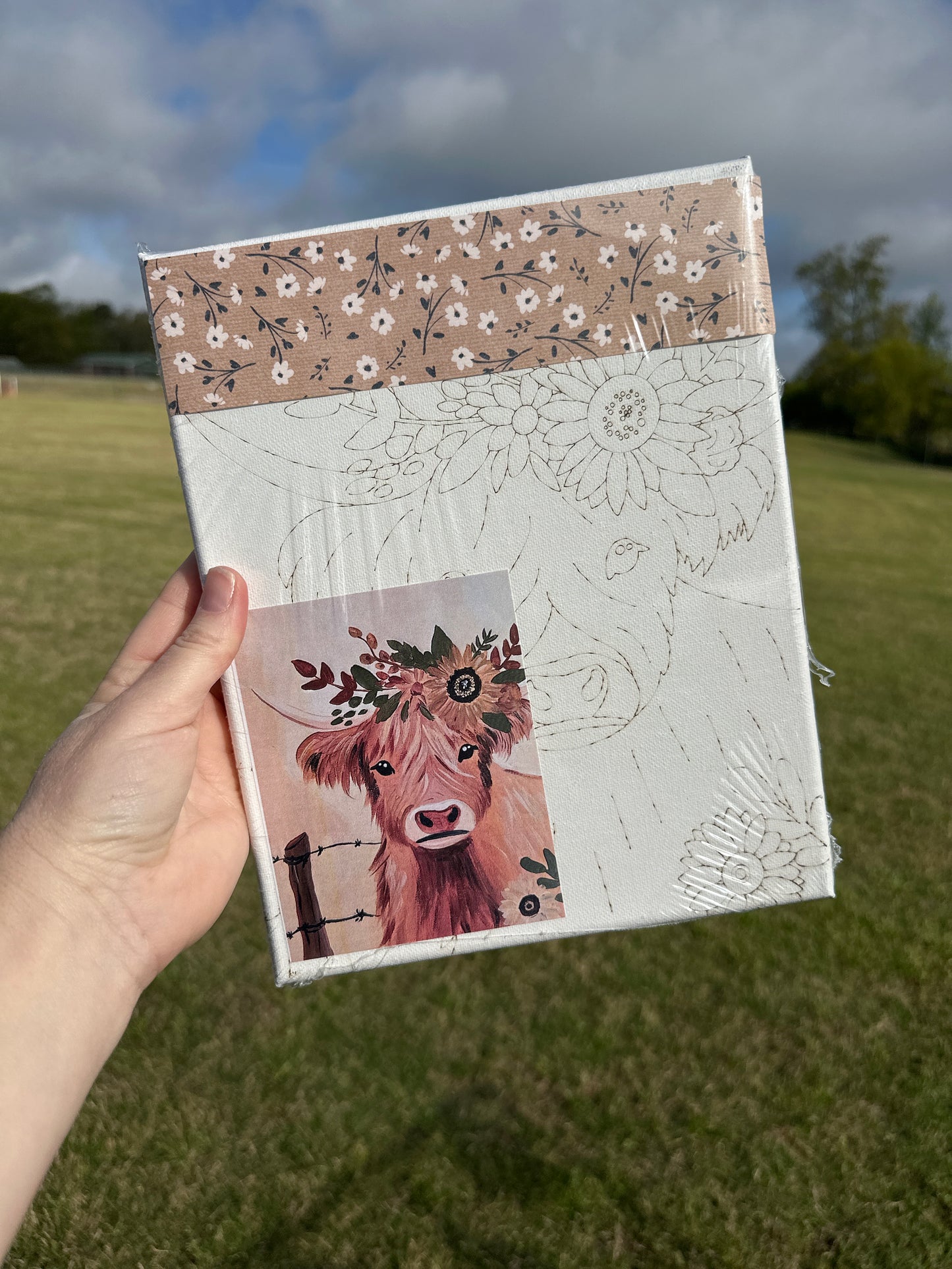 Canvas Art Kit - Highland Cow Design