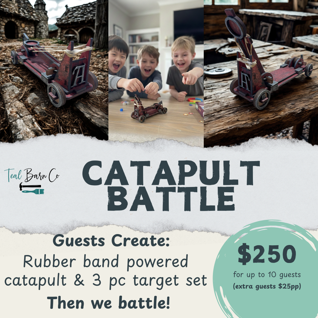 Catapult Battle