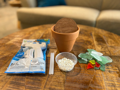 DIY Glass Succulent Kit