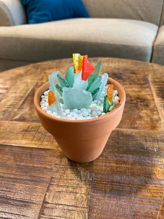 Tumbled Glass Art DIY Do it yourself Succulent sun-catcher Sea Glass