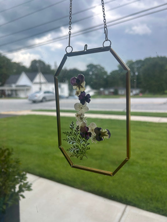 Framed Pressed Flowers