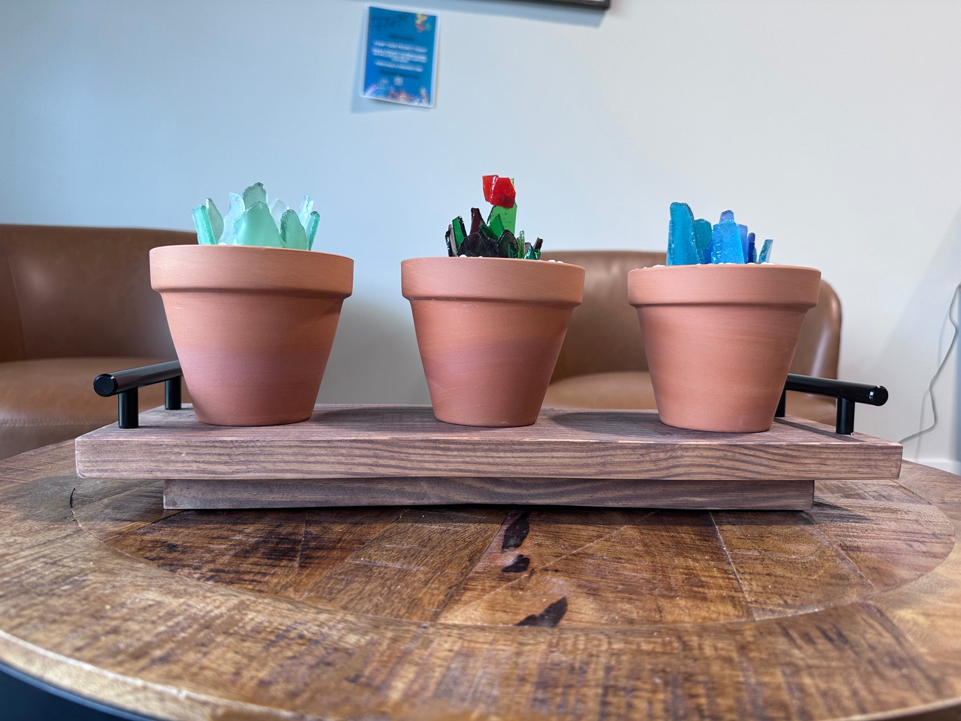 succulent pots with tray Tray with 3 Succulents – Teal Barn Company