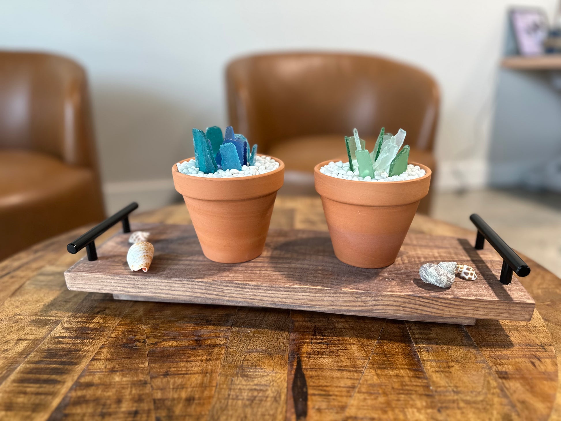 succulents in a tray Tray with 2 Succulents